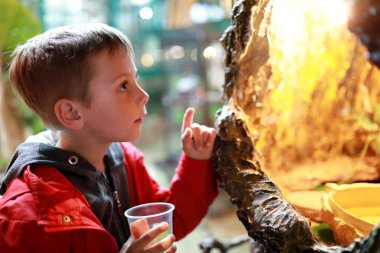 Teraryumdaki hayvanları izleyen çocuk portresi