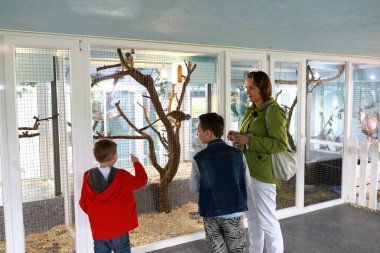 Anne ve oğlu hayvanat bahçesinde maymun izliyorlar.