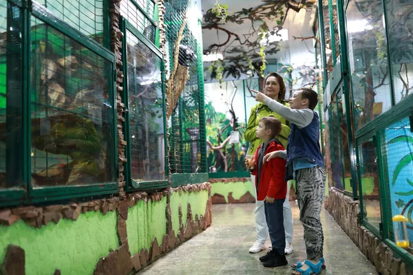 动物园内观赏动物的家庭肖像 — 图库照片