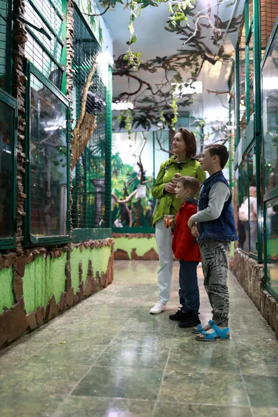 Retrato Madre Con Hijos Observando Animales Zoológico —  Fotos de Stock