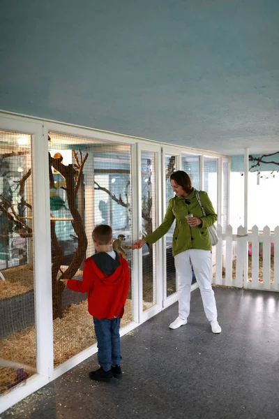 Moeder Met Zoon Voeden Aap Dierentuin — Stockfoto