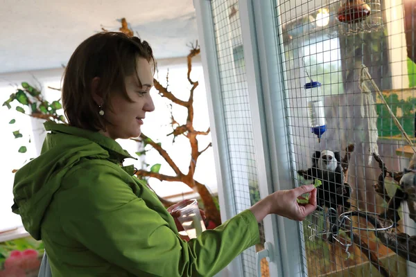 Portrait Woman Feeding Monkey Broccoli Zoo — Stock Photo, Image