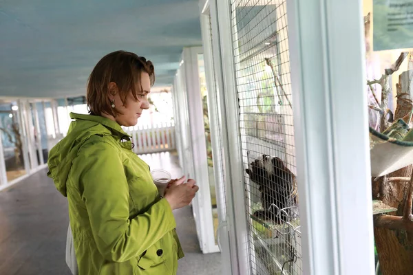 Portret Van Een Vrouw Die Dierentuin Naar Een Aap Kijkt — Stockfoto