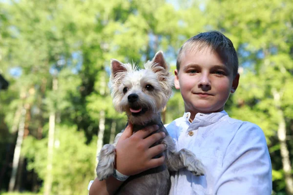 Niño Sosteniendo Yorkshire Terrier Perro Sus Brazos Parque —  Fotos de Stock