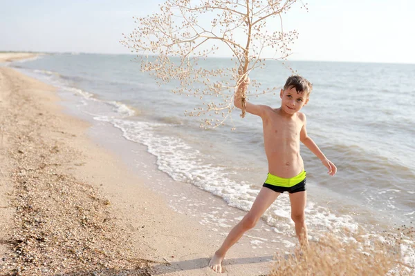夏にAzov海のビーチにタンブルウィード植物を持つ男の子 — ストック写真