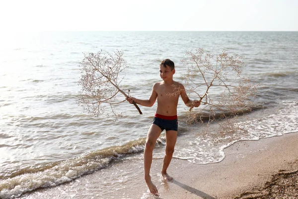 Enfant Posant Avec Une Plante Asclépiade Sur Plage Mer Azov — Photo