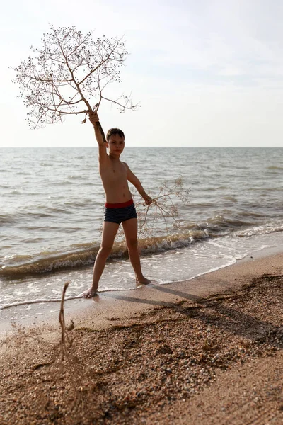 Criança Posando Com Planta Tumbleweed Praia Mar Azov Verão — Fotografia de Stock