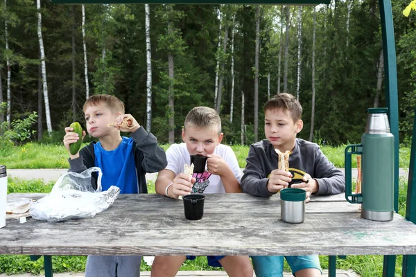 Barn Äter Lunch Picknick Parken — Stockfoto