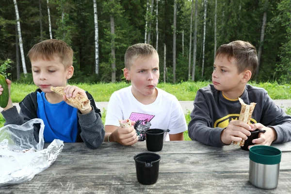 子供たちは公園でピクニックで昼食をとる — ストック写真
