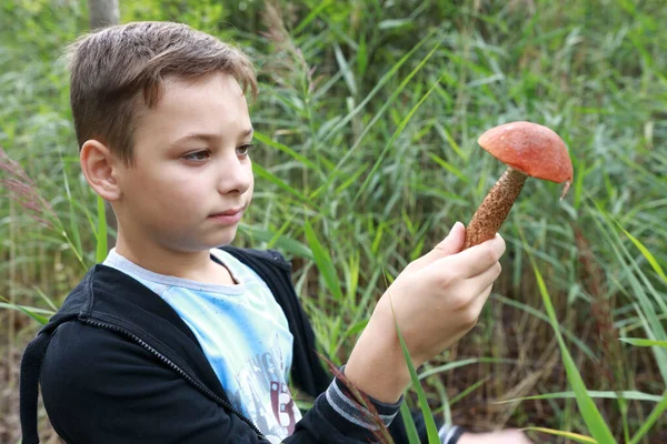 Niño Sosteniendo Boletus Hongo Bosque Karelia —  Fotos de Stock