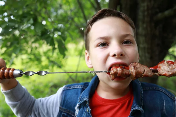 Chłopiec Jedzenie Wieprzowina Szyi Kebab Szaszłyki Park — Zdjęcie stockowe