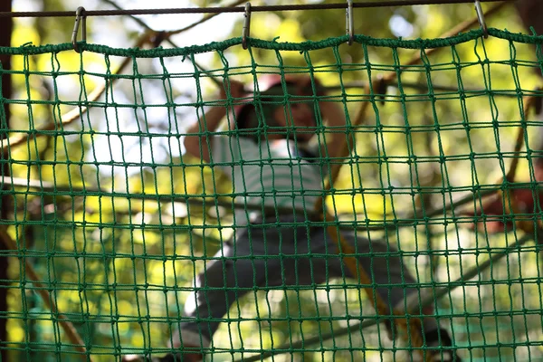 Eğitim Çocuk dağcı