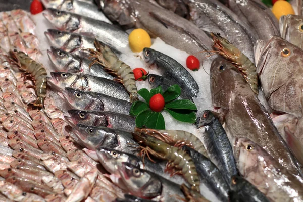 Fishes on the counter — Stock Photo, Image