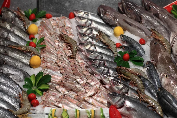 Различные рыбы на стойке в продуктовом магазине — стоковое фото