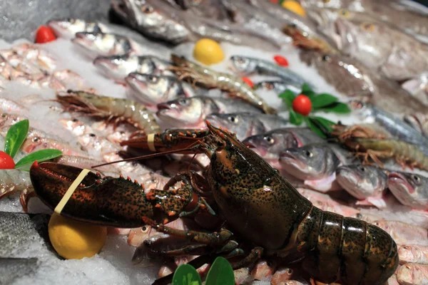 Fresh lobster at market — Stock Photo, Image