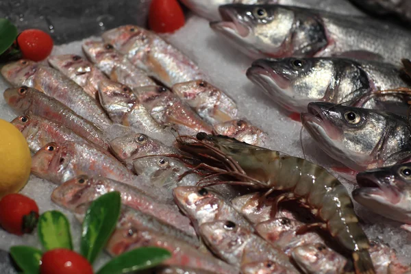 Details of various fishes on the counter — Stock Photo, Image