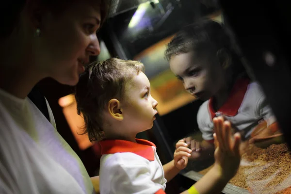 Mother with son watching lizard — Stock Photo, Image