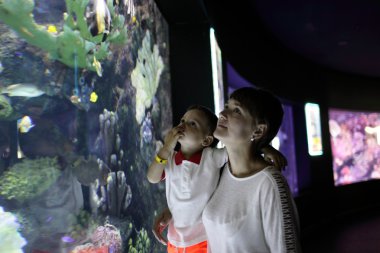 Anne ve oğlu Tropikal balıklar izlerken