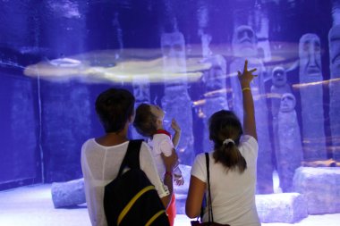 Oceanarium insanlara