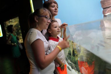 Deniz yaşamı okuyan insanlar