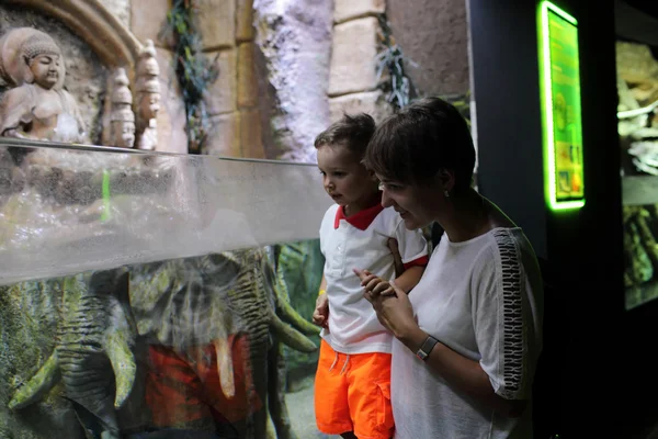 Família olhando para peixes tropicais — Fotografia de Stock