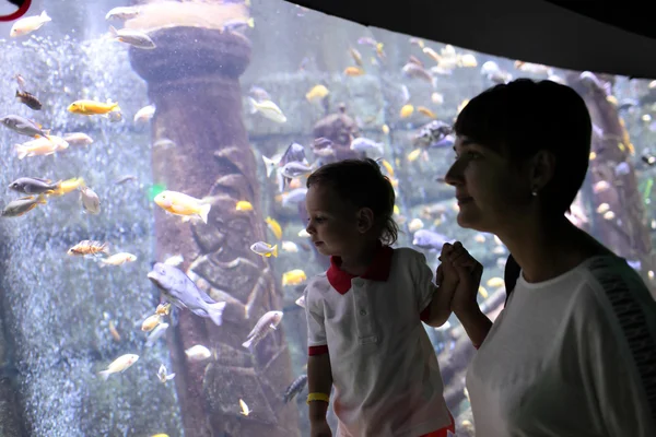 Máma se synem podívat tropické ryby — Stock fotografie