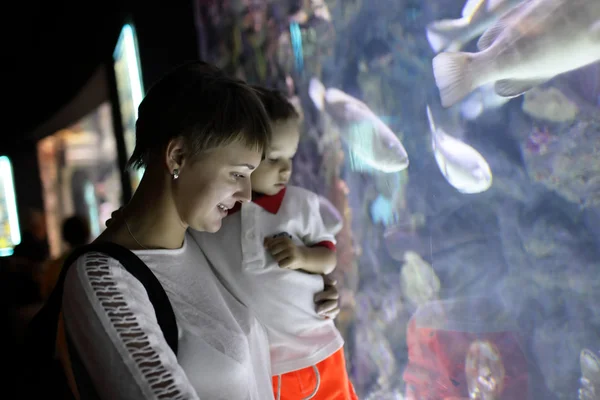 Madre con hijo mirando a los peces — Foto de Stock