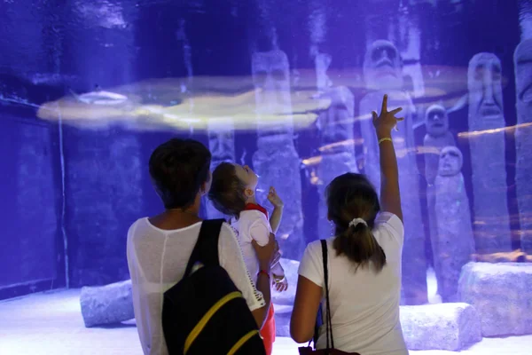 水族館での人々 — ストック写真