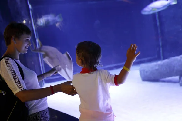 Mamá e hijo viendo peces — Foto de Stock