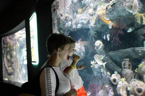 Mãe com filho assistindo peixes — Fotografia de Stock