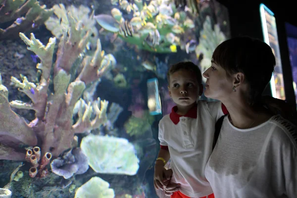 Madre con hijo viendo peces tropicales — Foto de Stock