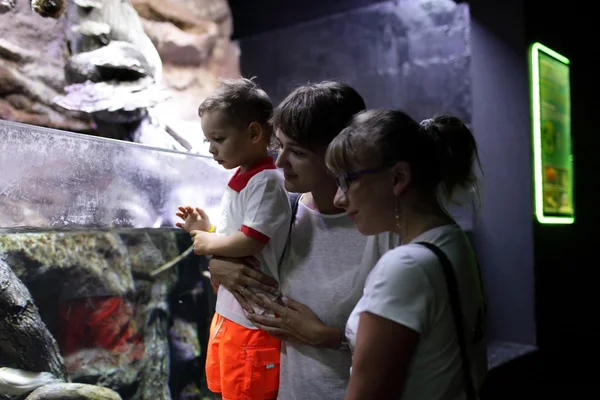 Gente viendo peces — Foto de Stock