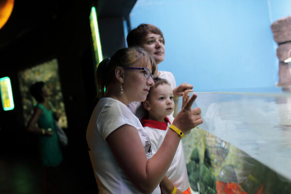 People watching marine life