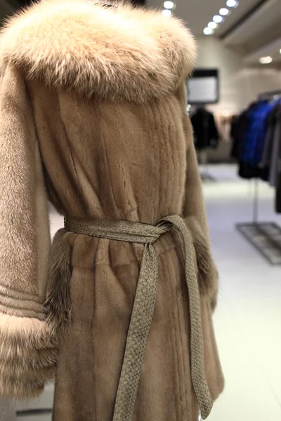 Vizon ceket — Stok fotoğraf