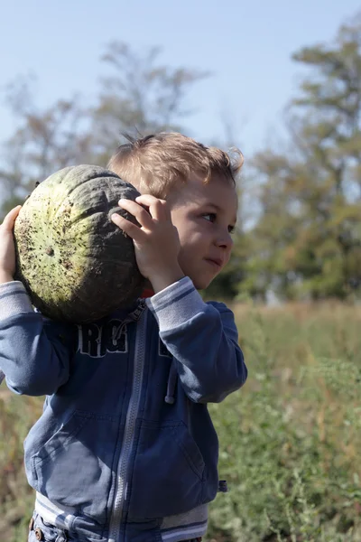 Child holding pumpkin — Stock Photo, Image