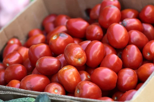 Pomodori freschi — Foto Stock