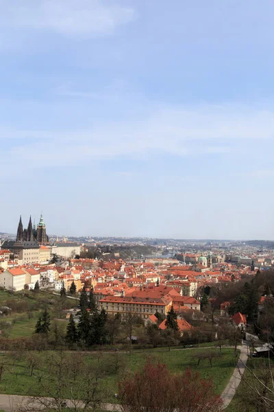 Landscape of St. Vitus Cathedral — Stock Photo, Image