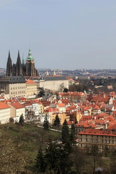 St. Vitus Cathedral — Stock Photo, Image