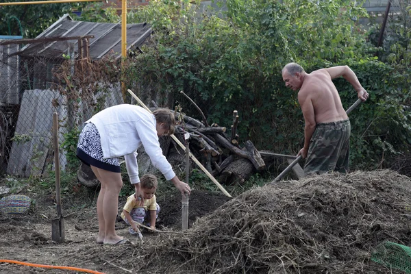 People planting seedlings — Stock Photo, Image