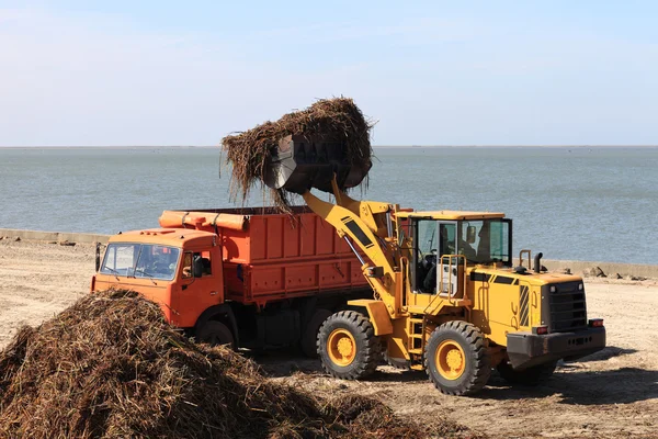 Trekker algen in de vrachtwagen geladen — Stockfoto