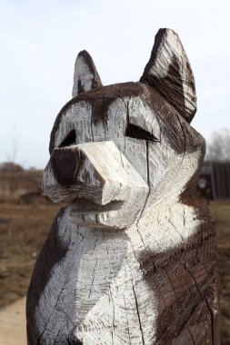 Husky köpek