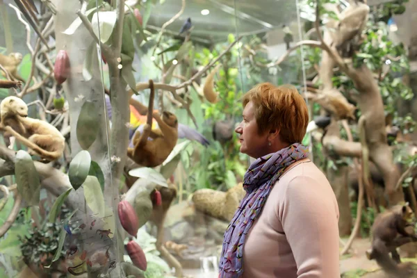 Senior woman in museum — Stock Photo, Image