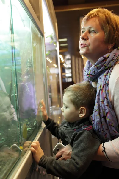 Grandmother and grandson in museum — Stock Photo, Image