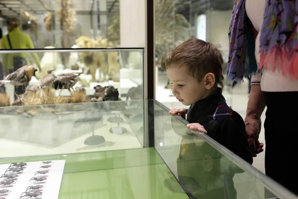 Niño mirando escarabajos — Foto de Stock