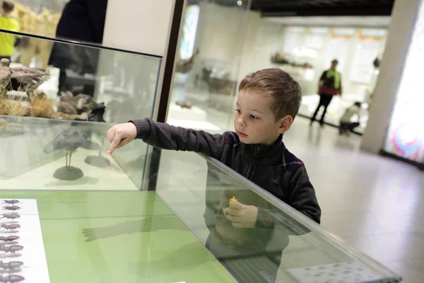 Bambino in museo — Foto Stock