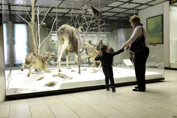 Grootmoeder met kleinzoon in museum — Stockfoto