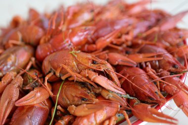 Tabak pişmiş kerevit ile