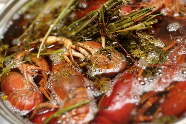 Boiled crayfish with herb — Stock Photo, Image