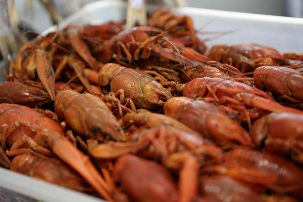 Boiled crayfish — Stock Photo, Image