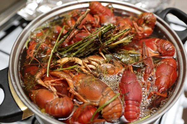 烹饪的草本植物小龙虾 — 图库照片